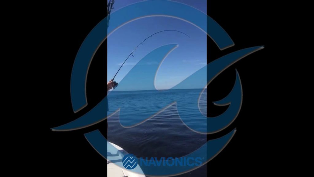Navionics Fishing Ranges feat Mojo Sportswear