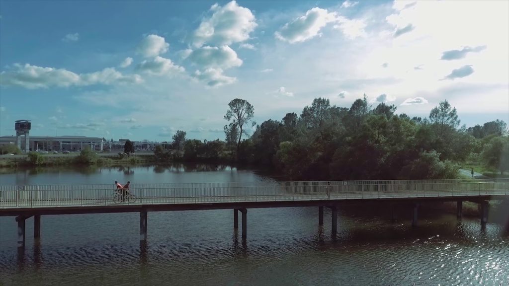 Spring Walk and Bicycling in a Park Bridge (4K Drone Footage)